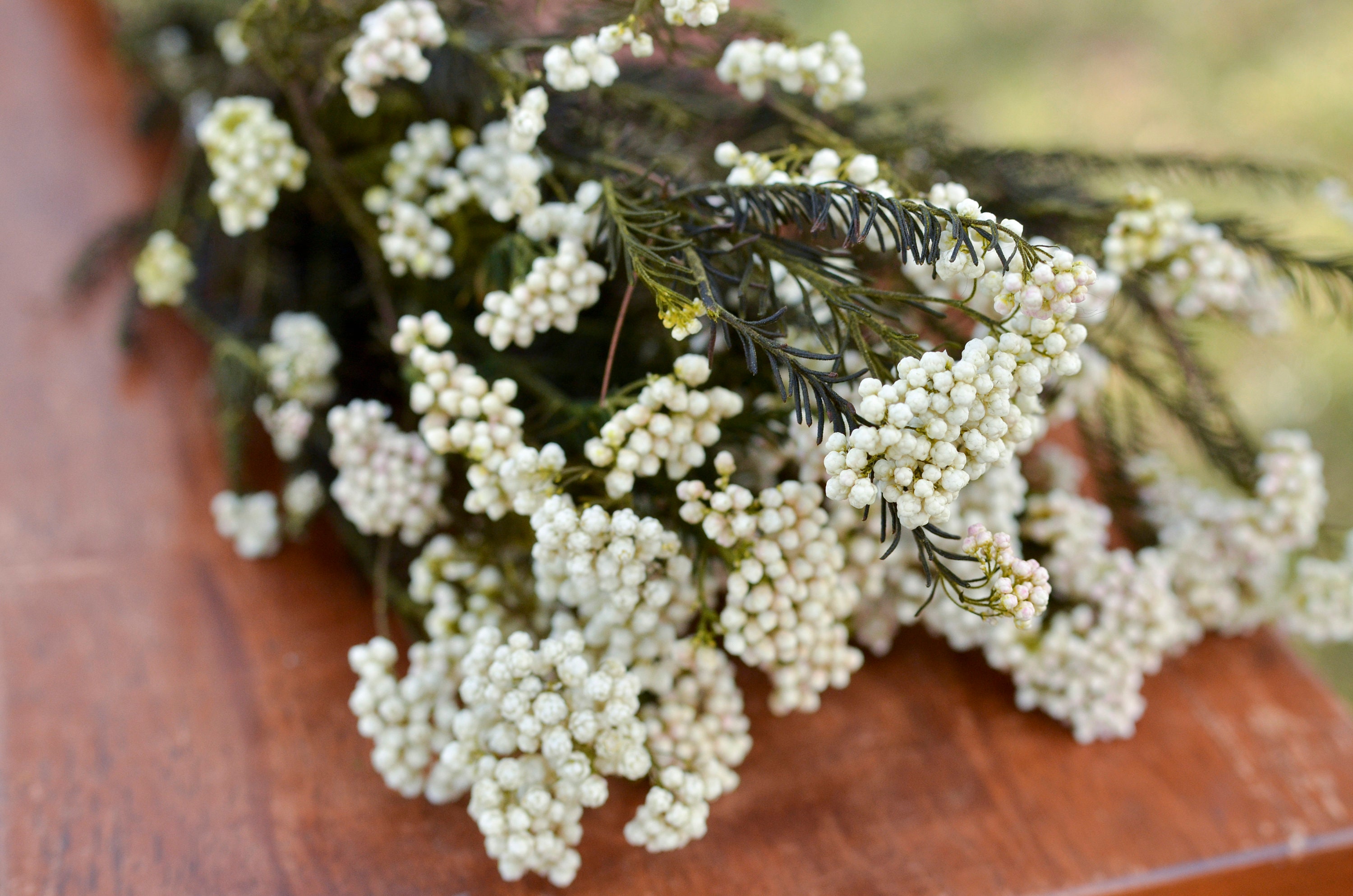 Preserved Rice Flower White Flowers Wedding Flowers Filler Etsy