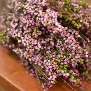 Bukett konserverad rosa ljung, rosa ljung, rosa bröllopsblommor, vårbröllopsblommor, skotska blommor, skotska bröllopsblommor bild 6