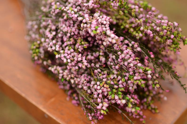 Bukett konserverad rosa ljung, rosa ljung, rosa bröllopsblommor, vårbröllopsblommor, skotska blommor, skotska bröllopsblommor bild 6