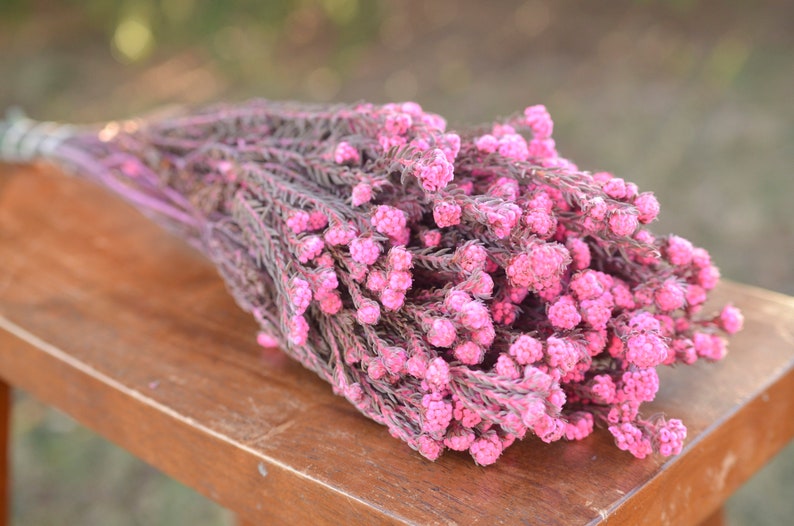 small pink dried flowers pink wedding flowers preserved pink flowers spring wedding flowers Bunch of preserved pink cotton phyllica
