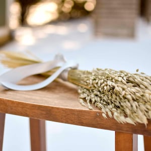 Dried green oats on wood stool.