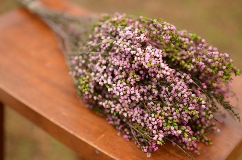 Bukett konserverad rosa ljung, rosa ljung, rosa bröllopsblommor, vårbröllopsblommor, skotska blommor, skotska bröllopsblommor bild 3