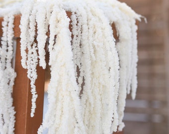 Preserved ivory amaranthus, ivory wedding flowers, flowers for winter, cascading dried flowers, cascading wedding bouquet