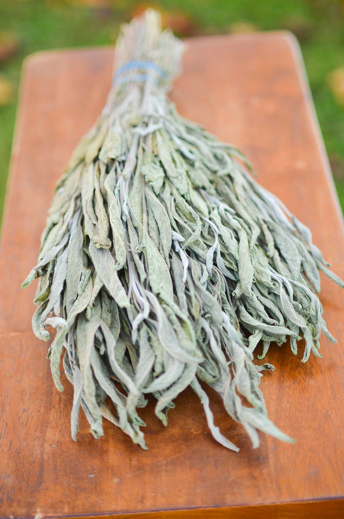 Dried sage bunch sage dried herbs fragrant dried sage Etsy