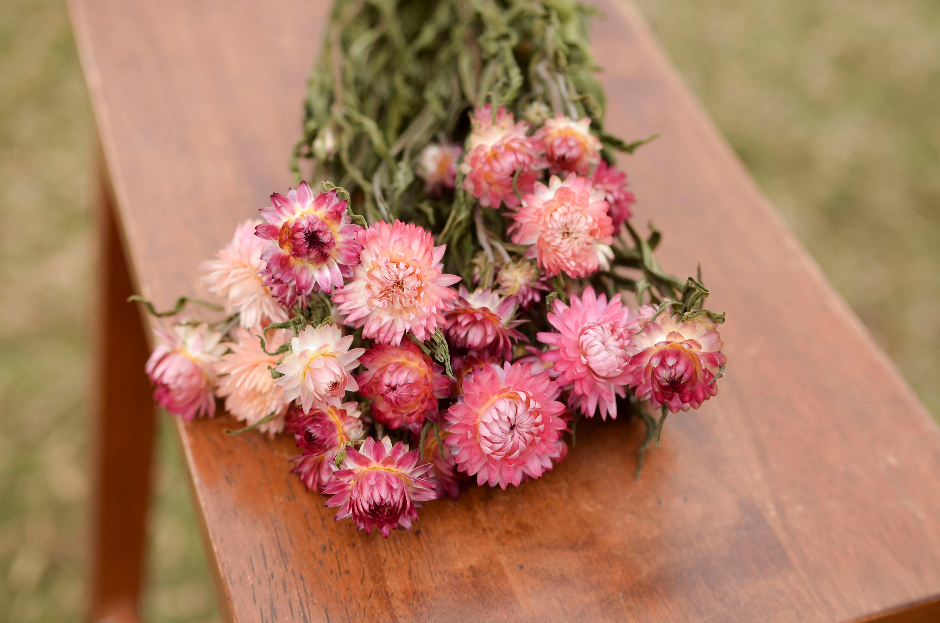Pink Strawflowers, dried strawflowers, pink dried flowers, small dried flower bouquet, spring dried flowers, spring wedding flowers