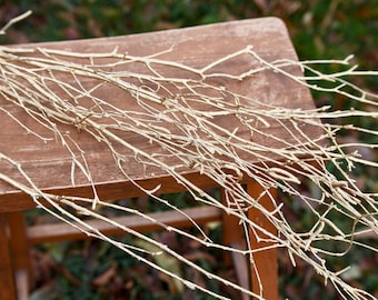 Gold Painted Birch Branches: Christmas Decor, Woody Stems - 5 Pcs