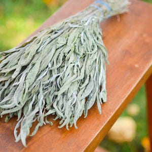 Dried sage bunch, sage dried herbs, fragrant dried sage, preserved sage