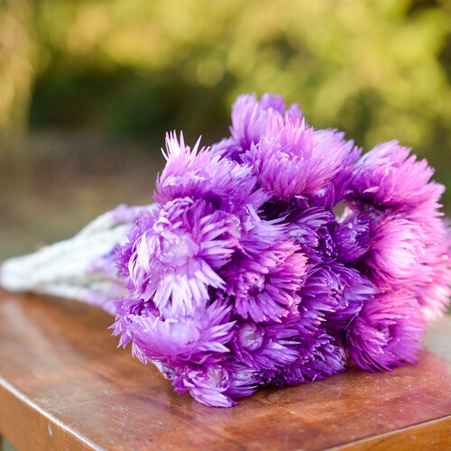 Bunch of purple orchid everlasting flowers, flowers for vase, purple dried flowers, purple wedding flowers, fall flowers, purple mums