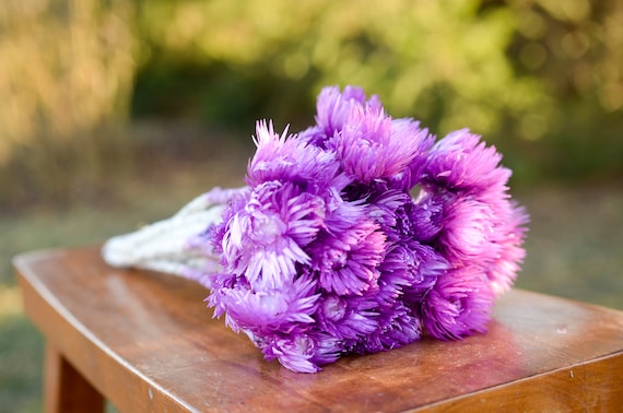 Ramo de flores eternas de orquídeas púrpuras flores para - Etsy España