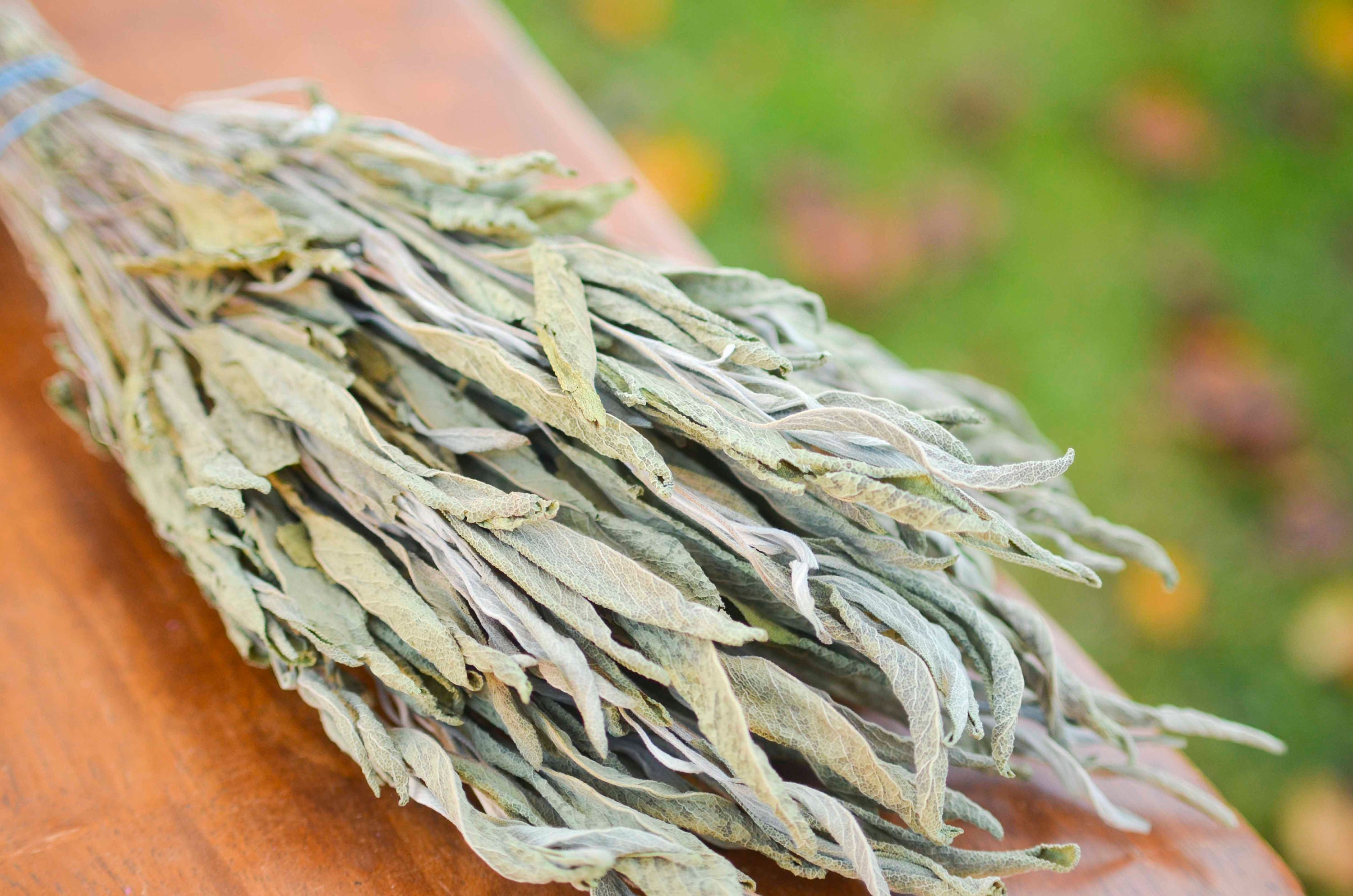 Dried Sage Bunch Sage Dried Herbs Fragrant Dried Sage Etsy UK