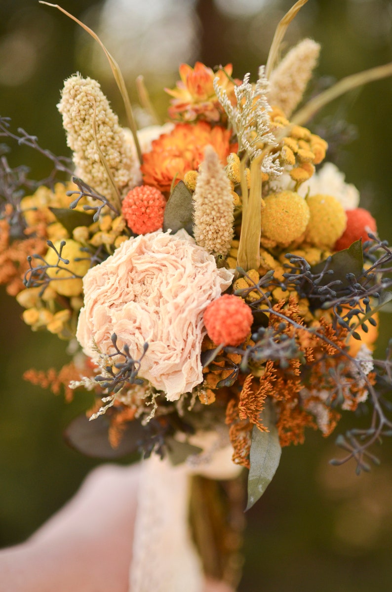 Dried billy balls, craspedia, Bunch of craspedia, dried yellow flowers, Billy buttons, baby shower flowers image 10