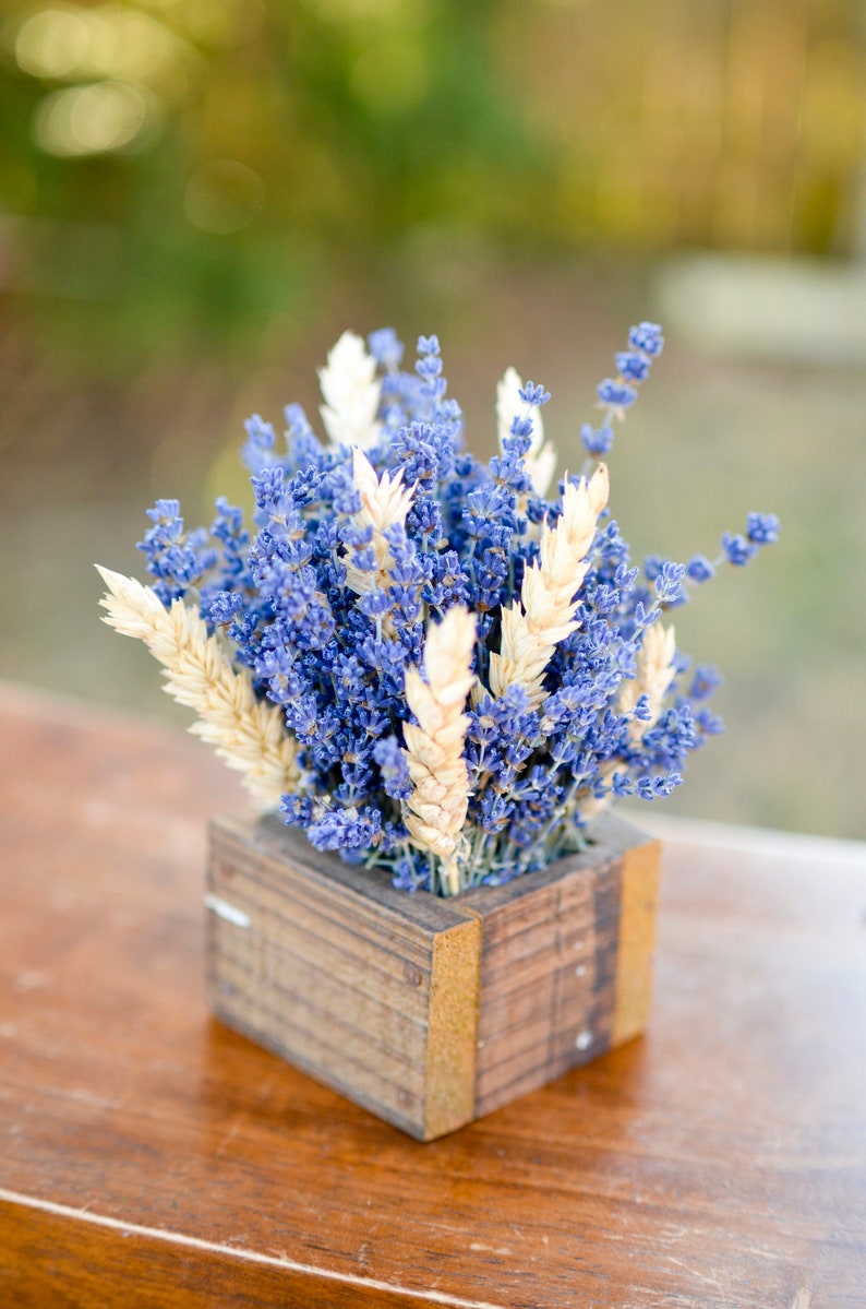 Dried English lavender, fragrant lavender, lavender bouquet, smudge lavender, smudging lavender, smudge herb, lavender stems, purple wedding image 7
