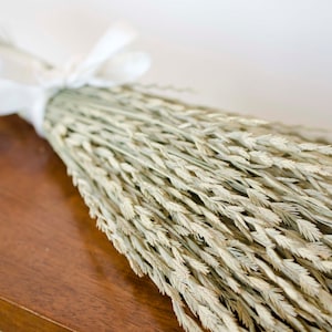 May include: A bouquet of dried, light beige grass tied with a white ribbon. The grass is arranged in a fan shape and is lying on a wooden surface.