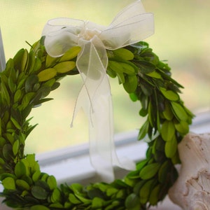 Preserved Mini Boxwood Wreath, Simple Spring Wreath, Spring wreath, boxwood wreath, small boxwood wreath image 2