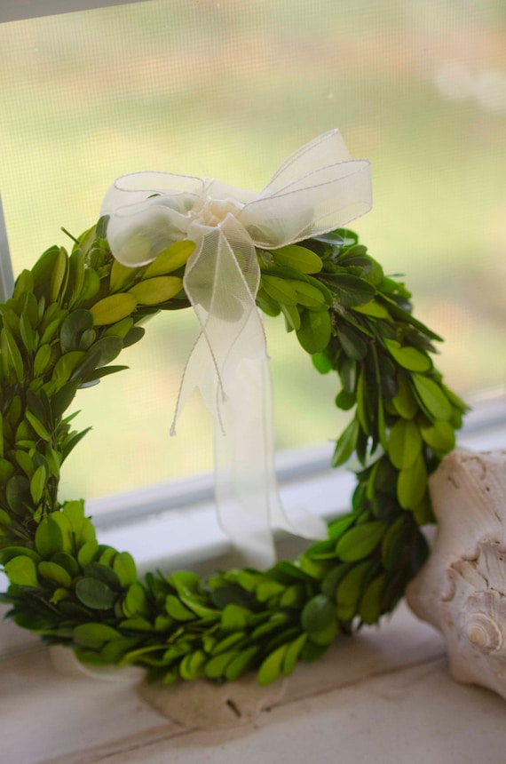Preserved Mini Boxwood Wreath, Simple Spring Wreath, Spring Wreath, Boxwood  Wreath, Small Boxwood Wreath 
