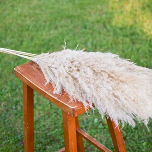 May include: A bunch of dried pampas grass with long, feathery plumes in a light beige color, arranged on a wooden stool.