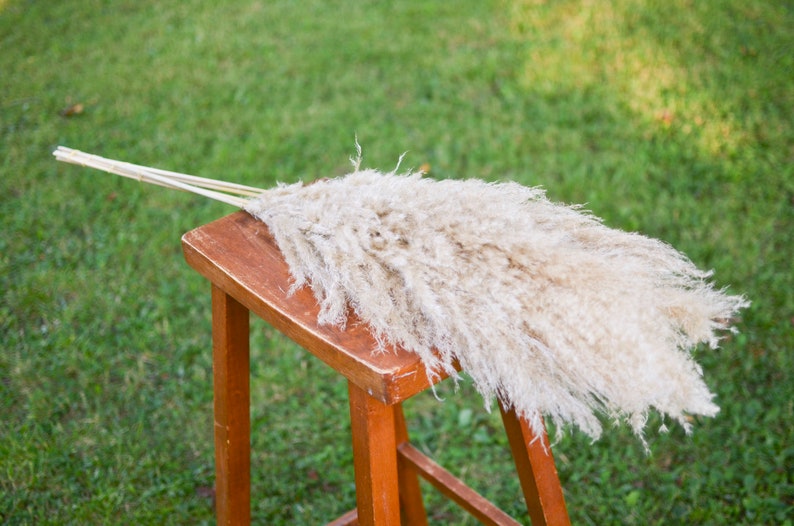 May include: A bunch of dried pampas grass with long, feathery plumes in a light beige color, arranged on a wooden stool.