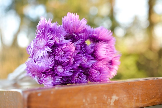 Ramo de flores eternas de orquídeas púrpuras flores para - Etsy España