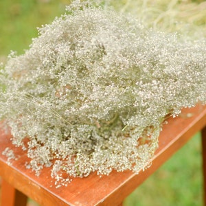 Natural Dried Baby&#39;s Breath: Silver Gray Gypsophilia Filler