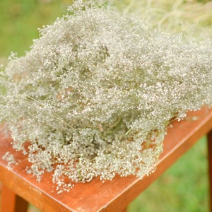 Natural dried baby's breath, unbleached baby's breath, silver flowers, gray flowers, filler dried flowers, dried gypsophilia, dried flowers image 1