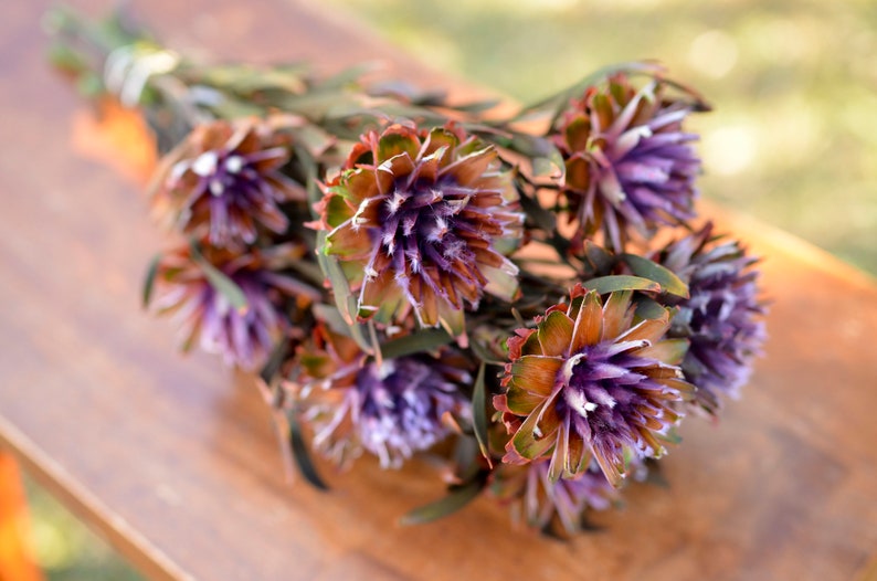 Purple Preserved Orchid Plumosum: Wedding Flowers, 7-8 Stems image 4