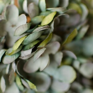 May include: Close-up of a decorative floral arrangement featuring soft, muted green and gray leaves. The leaves have a delicate, textured appearance, with hints of yellow. The arrangement is likely used for home decor.