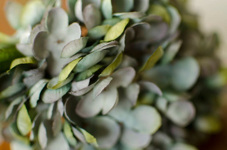 May include: Close-up of a decorative floral arrangement featuring soft, muted green and gray leaves. The leaves have a delicate, textured appearance, with hints of yellow. The arrangement is likely used for home decor.