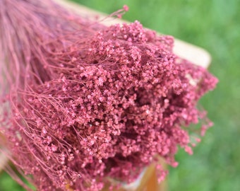 Berry Pink Dried Broom Bloom: Bouquet Flower Filler