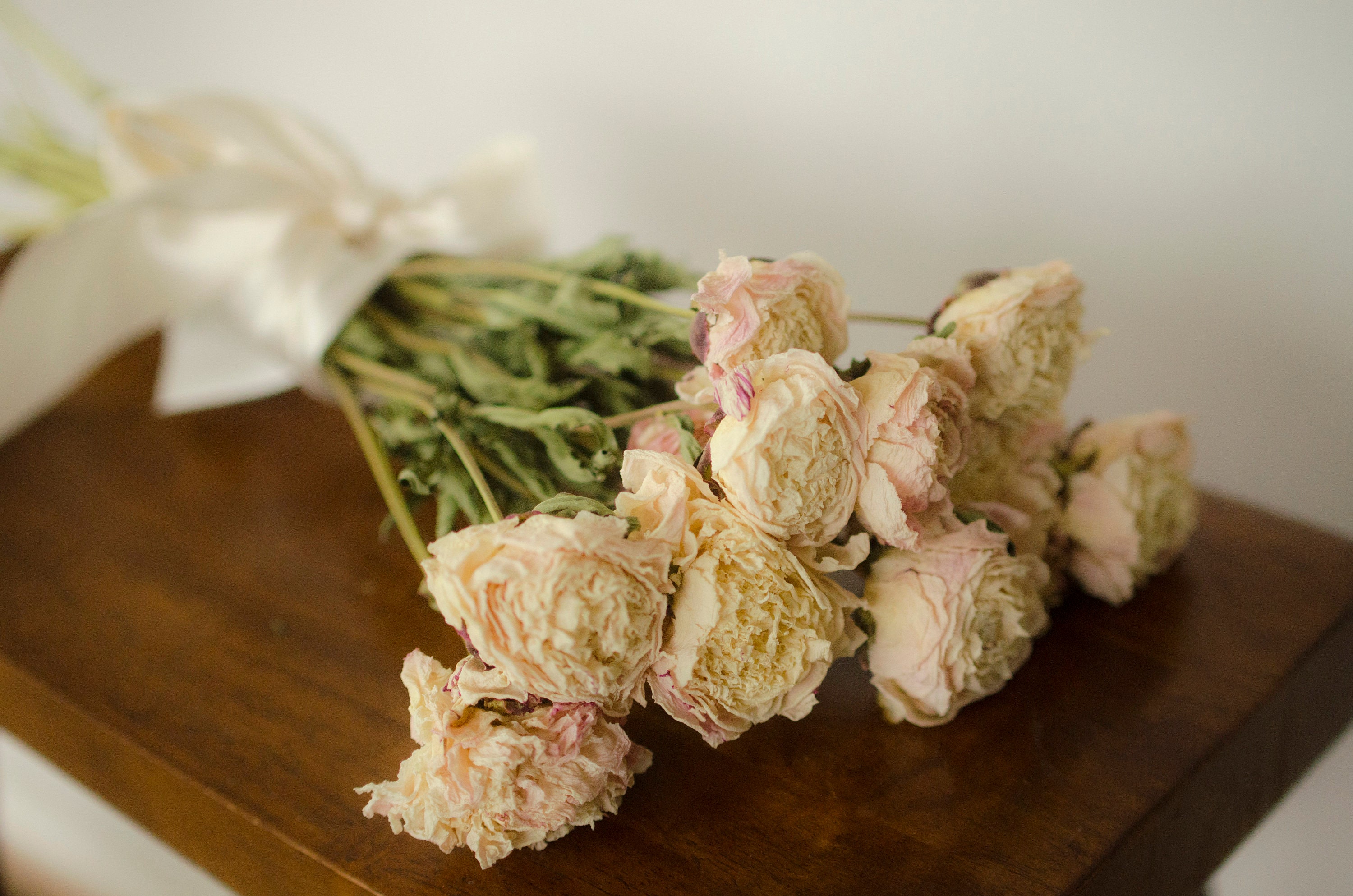 Dried peony bunch Dried peonies for weddings dried flowers Etsy