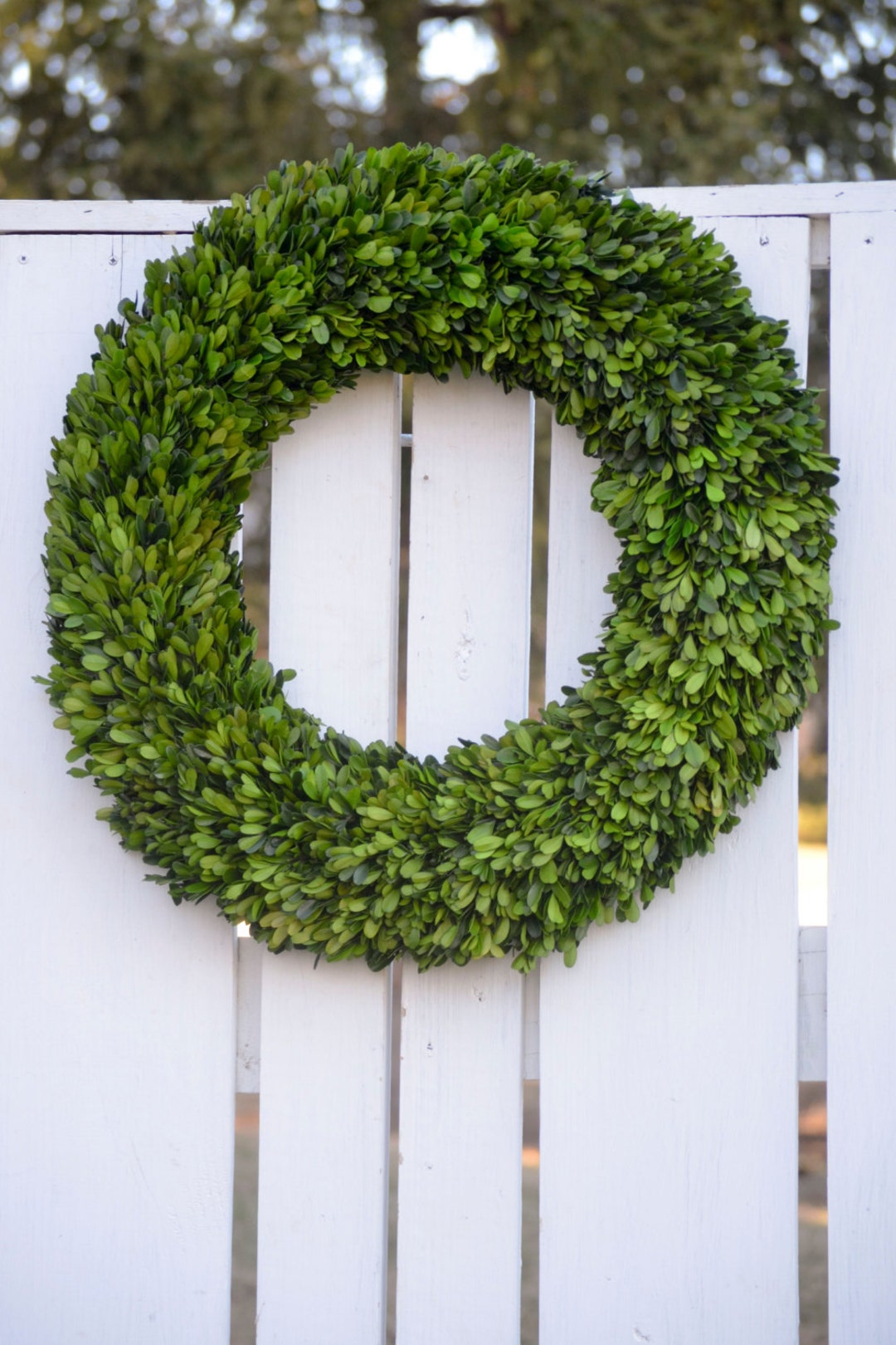 24 Preserved Boxwood Wreath Base Wreath Spring Wreath Etsy Canada