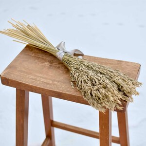 Dried oats tied with a gray satin ribbon.