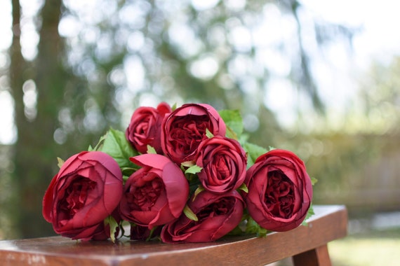 Fresh Red Rose Petals Bag buy bulk flowers- JR Roses
