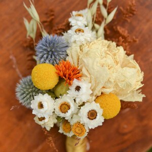Dried Avena Oats | Grain Bunndles | Long Stems for Fall Wreaths, Rustic Bouquets & Home Decor image 18
