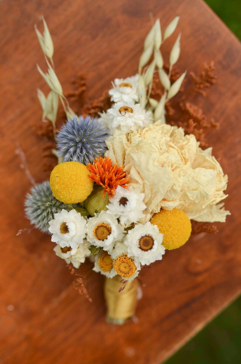 Dried Avena Oats | Grain Bunndles | Long Stems for Fall Wreaths, Rustic Bouquets & Home Decor image 18