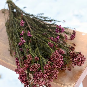 Konservierte lila Reisblume, lila Blumen, Hochzeitsblumen, Füller, Trockenblumenfüller, lila Trockenblumen
