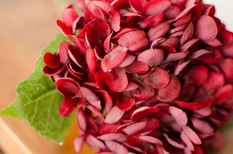 Red Silk Hydrangea Red Hydrangea Valentines Day Flowers Etsy Denmark
