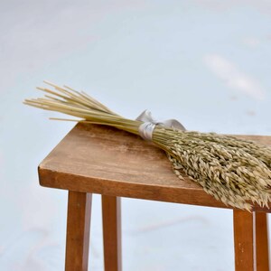 Dried oats bunch tied with a gray satin ribbon.