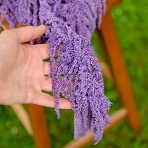 Preserved violet purple amaranthus, hanging amaranthus, cascading dried flowers, cascading wedding bouquet, draping floral arrangement