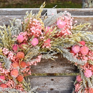 Dried Avena Oats | Grain Bunndles | Long Stems for Fall Wreaths, Rustic Bouquets & Home Decor image 17