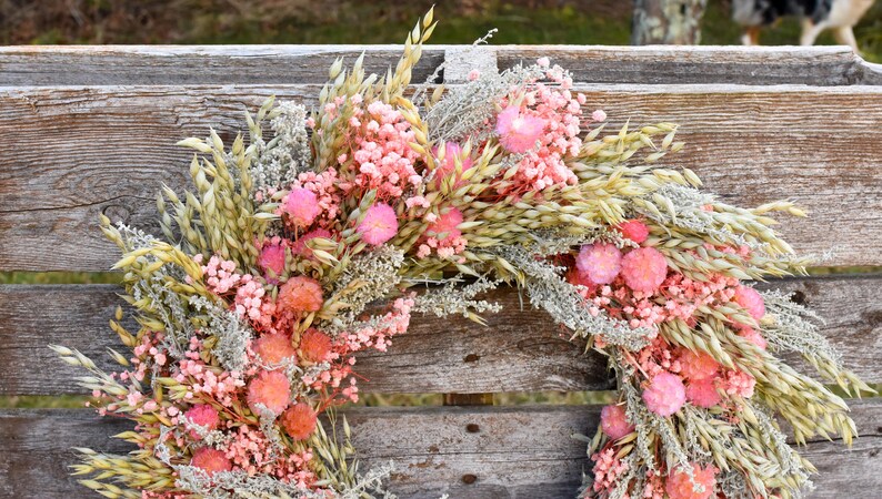 Dried Avena Oats | Grain Bunndles | Long Stems for Fall Wreaths, Rustic Bouquets & Home Decor image 17