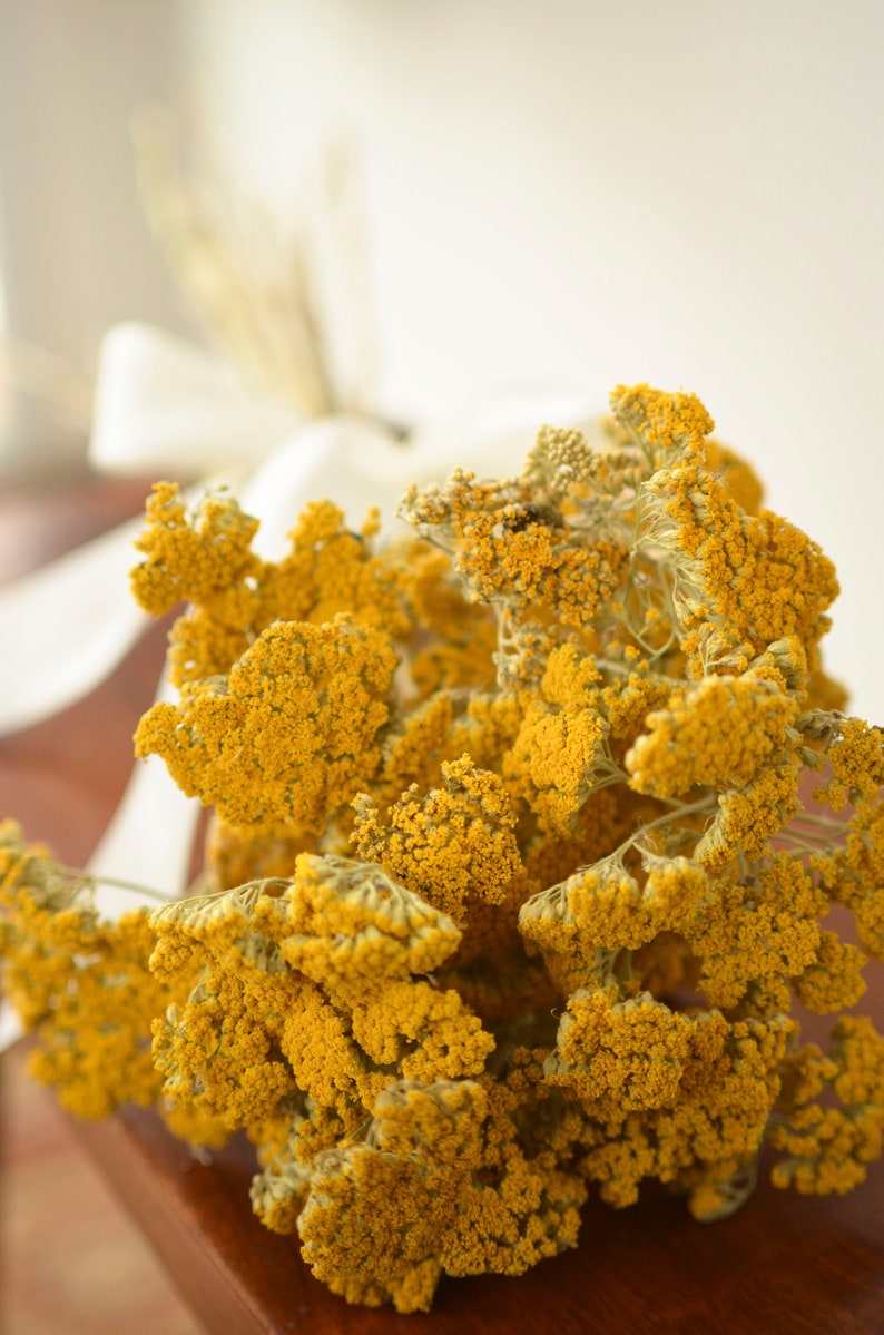 Bouquet d'achillée millefeuille séchée, achillée millefeuille séchée, fleurs dorées, fleurs dorées, fleurs séchées jaunes, fleurs de mariage jaunes image 4