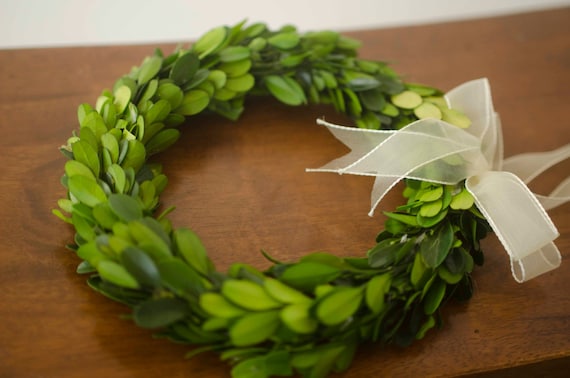 Preserved Mini Boxwood Wreath, Simple Spring Wreath, Spring Wreath