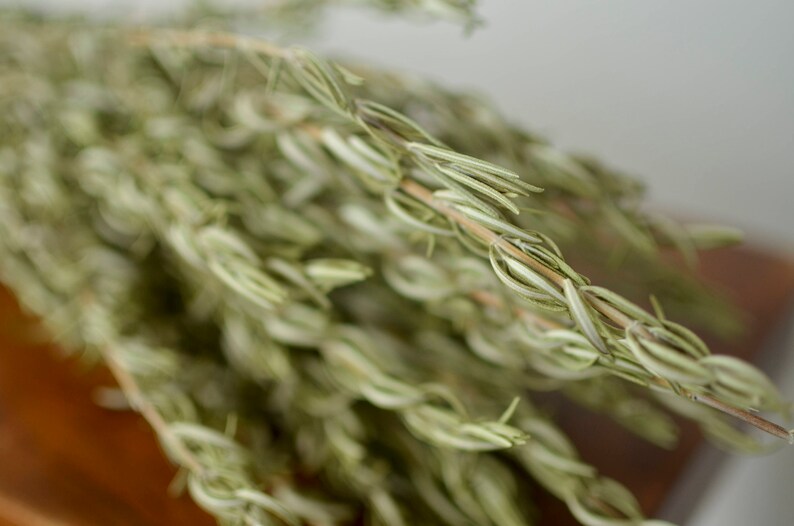 Dried rosemary bunch smudging herbs fragrant herbs smudge Etsy