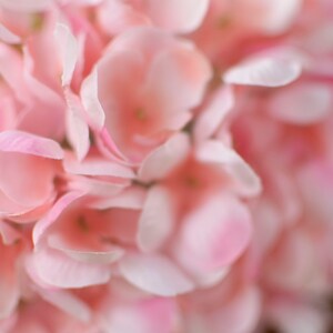 Light Pink silk hydrangea, pink hydrangea, spring flowers, silk hydrangeas, artificial hydrangeas, faux hydrangeas image 6