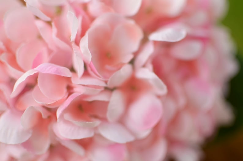 Light Pink silk hydrangea, pink hydrangea, spring flowers, silk hydrangeas, artificial hydrangeas, faux hydrangeas image 6