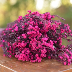 Bunch of preserved raspberry pink phylica, preserved dark pink flowers, small pink dried flowers, pink wedding flowers, fuschia flowers image 9