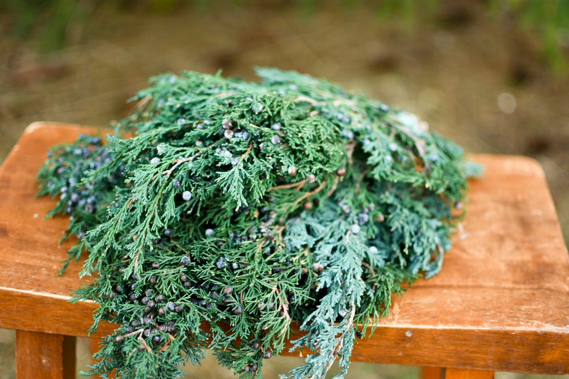 Preserved juniper winter greenery preserved greenery Etsy