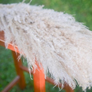 May include: A long, fluffy, white pampas grass plume, resting on a wooden stool. The grass is soft and feathery, with a natural, dried look.