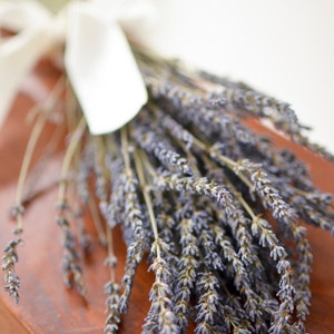 Dried Lavender Bunch, Grosso (French) Lavender, wedding decor, do-it-yourself wedding, lavender stems, lavender bouquet