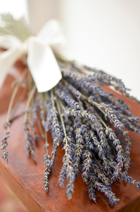 Dried Lavender Bunch, Grosso (French) Lavender, wedding decor,  do-it-yourself wedding, lavender stems, lavender bouquet